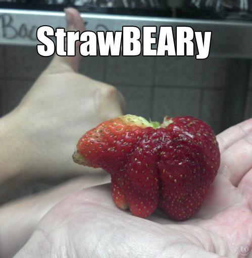 strawBEARy